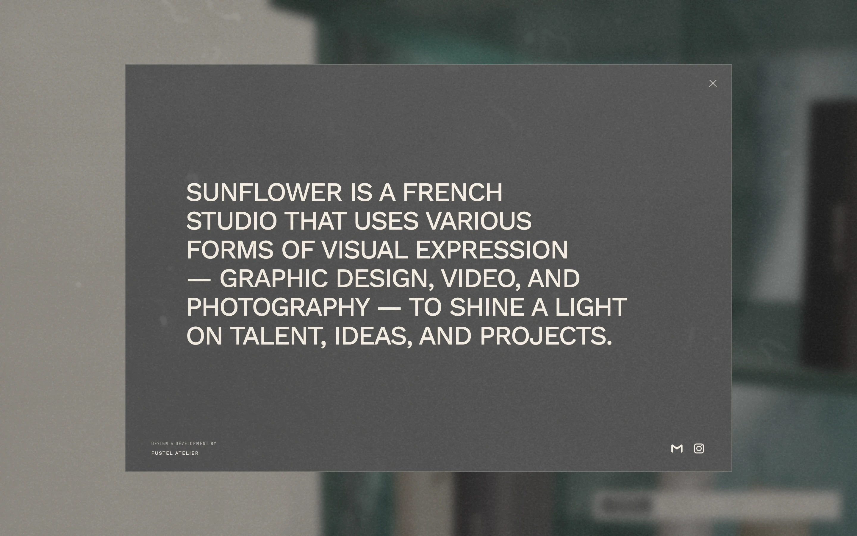 Sunflower Library  - image 5