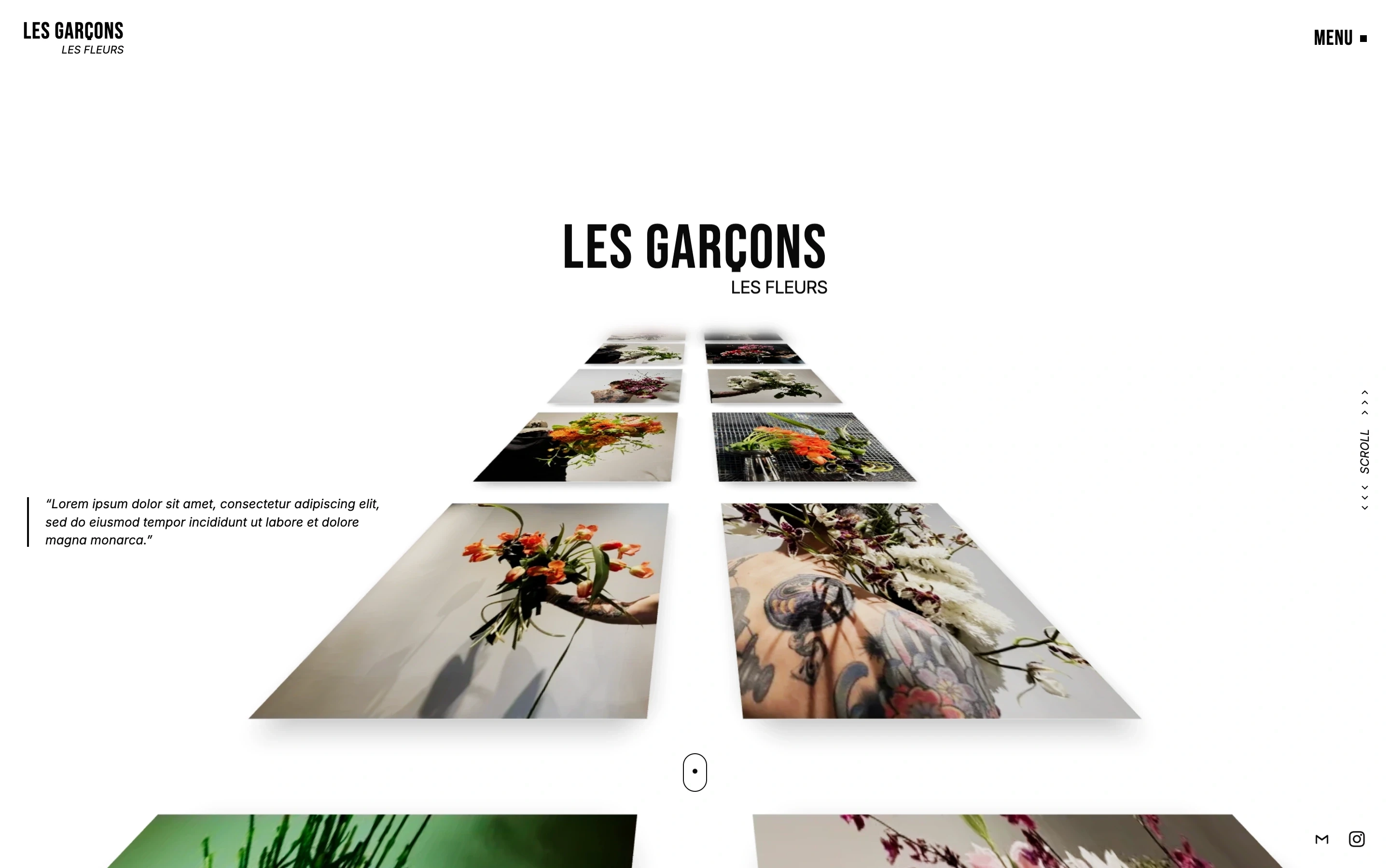 Les Garcons Les Fleurs - image 2